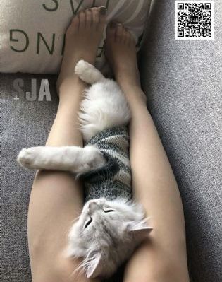 一部美国电影主角唱歌很好听_高清电影-免费完整版